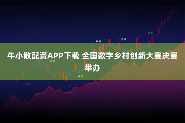 牛小散配资APP下载 全国数字乡村创新大赛决赛举办