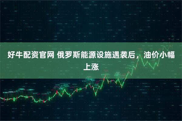 好牛配资官网 俄罗斯能源设施遇袭后,油价小幅上涨