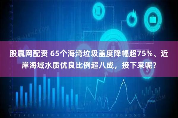 股赢网配资 65个海湾垃圾盖度降幅超75%、近岸海域水质优良比例超八成,接下来呢?