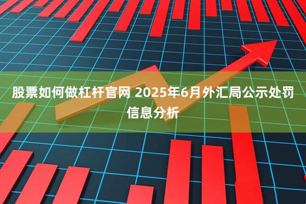 股票如何做杠杆官网 2025年6月外汇局公示处罚信息分析