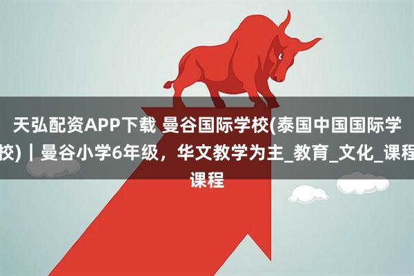 天弘配资APP下载 曼谷国际学校(泰国中国国际学校)｜曼谷小学6年级，华文教学为主_教育_文化_课程