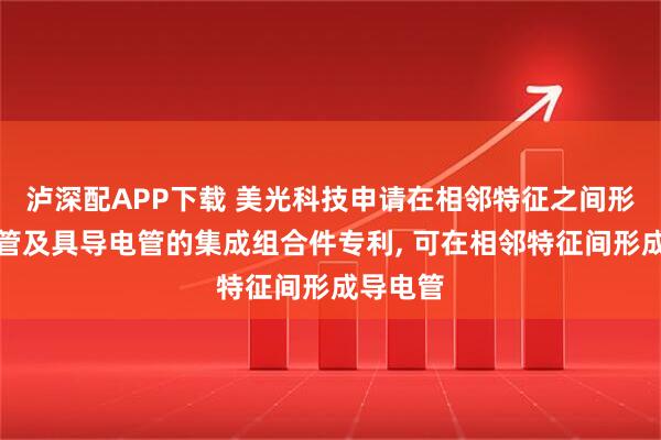 泸深配APP下载 美光科技申请在相邻特征之间形成导电管及具导电管的集成组合件专利, 可在相邻特征间形成导电管