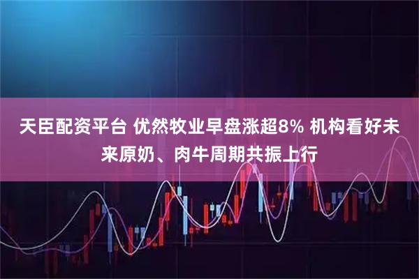 天臣配资平台 优然牧业早盘涨超8% 机构看好未来原奶、肉牛周期共振上行