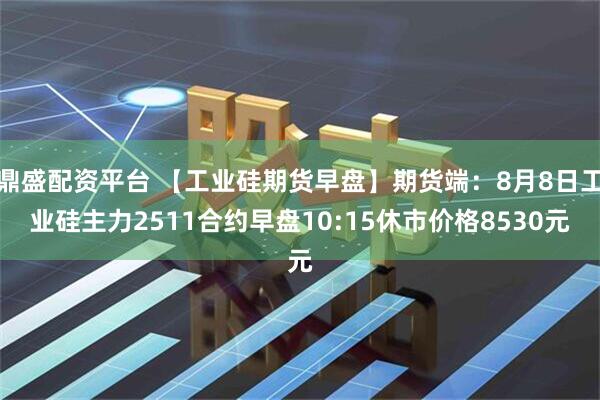 鼎盛配资平台 【工业硅期货早盘】期货端：8月8日工业硅主力2511合约早盘10:15休市价格8530元